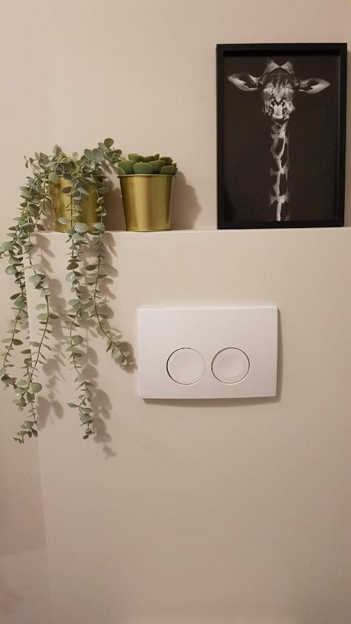 Bnb Antwerpen - Charmant מראה חיצוני תמונה